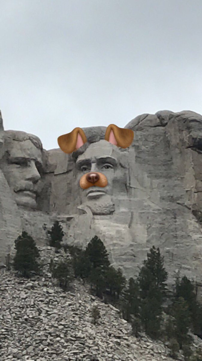D_Losh_'s tweet photo. "Did you take any pics while you were at Mt Rushmore?"

"Yeah just a few" https://t.co/l1uklwmnKI