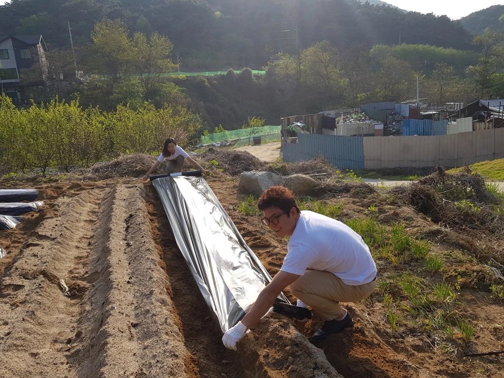 SOAGOLD (@SOAGOLD1) / Posts / X