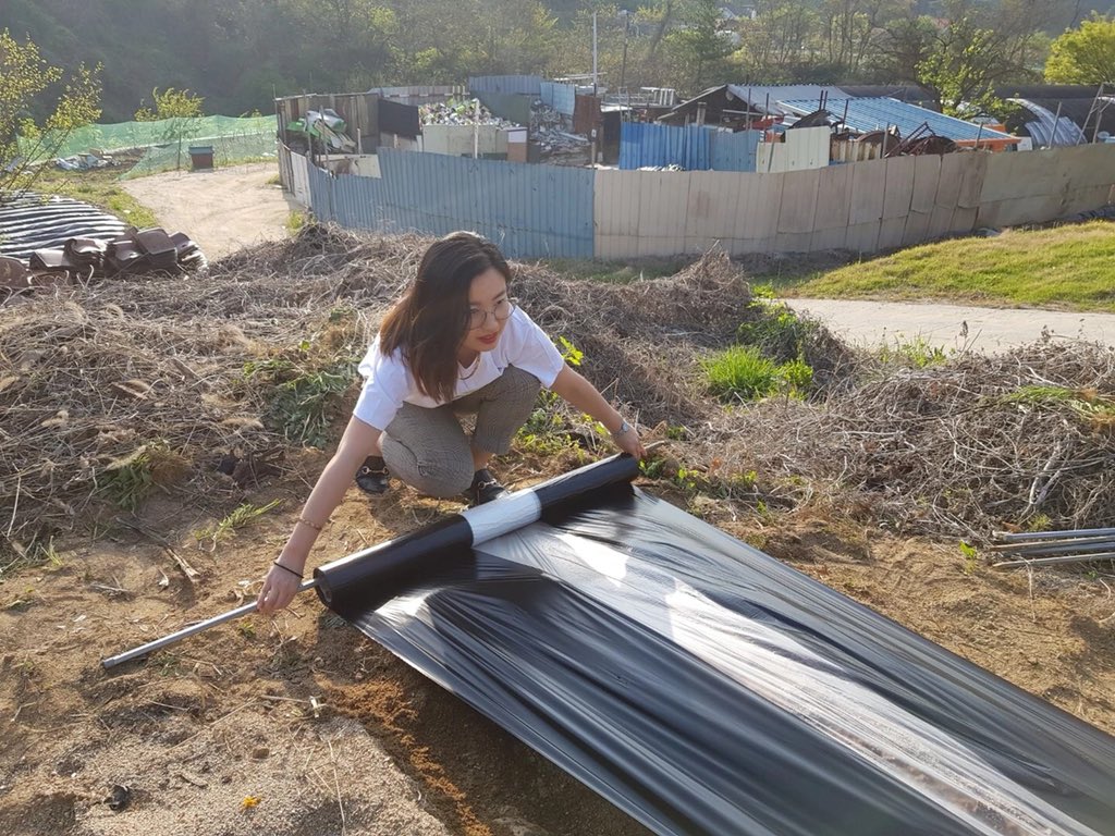 SOAGOLD (@SOAGOLD1) / Posts / X