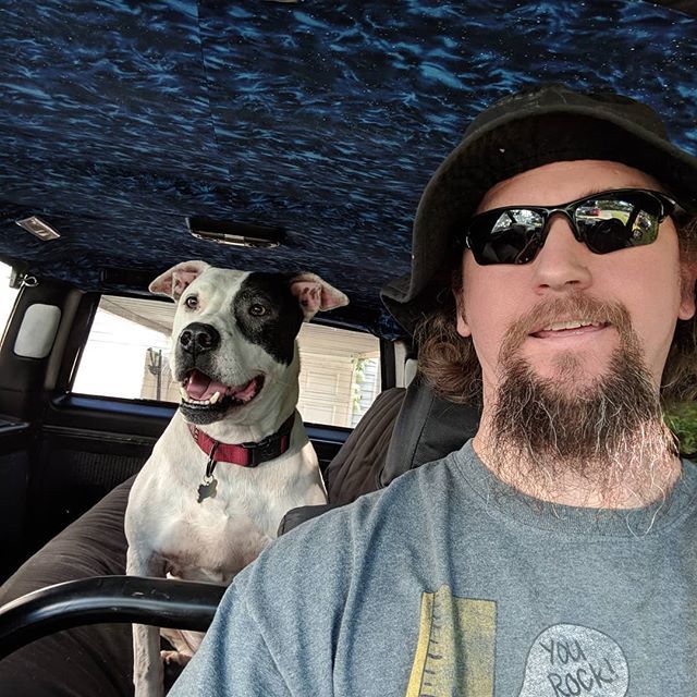N3tJ3st3r's tweet photo. If you don't love car rides, are you even a dog? #pitbullsofinstagram #dontbullymybreed #pibble #Vanakin #astrovan #liftedvan #4x4van #astrosafari https://t.co/uzqCCTQPjD https://t.co/87ifNc0OmB