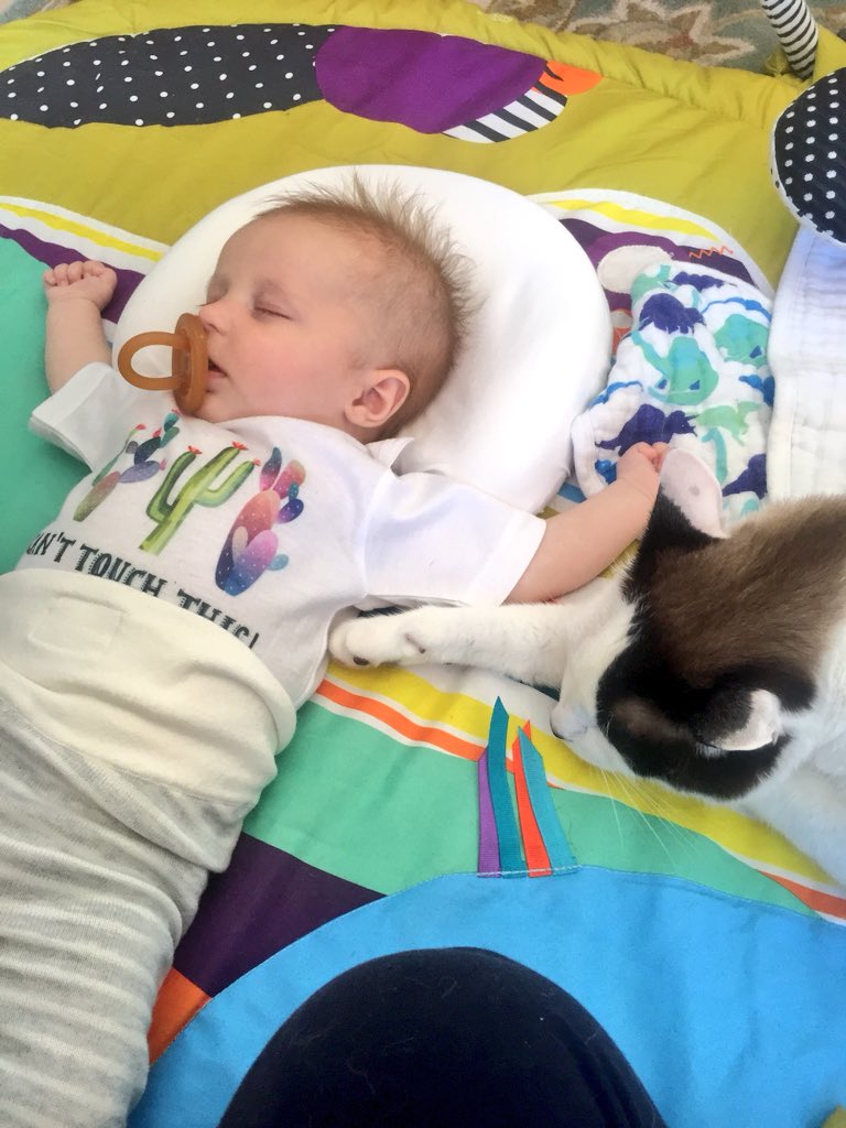 It’s #AdoptAShelterPetDay!! These rescues have changed our lives in so many wonderful ways! Always remember to consider your local shelters when adding to the family! #AdoptDontShop