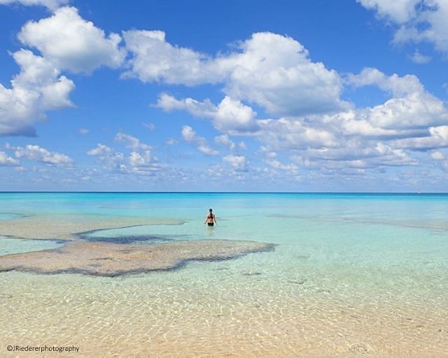 Wading into a new week.
📷:@jriedererphotography #lovetheocean #goodmorning #bermuda #wearebermuda #gotobermuda #yesbermuda #earthfocus #ourdailyplanet #water_of_our_world #water_brilliance #nature_wizards #awesomedreamplaces #surroundmewithwater #bes… ift.tt/2rd0eYY