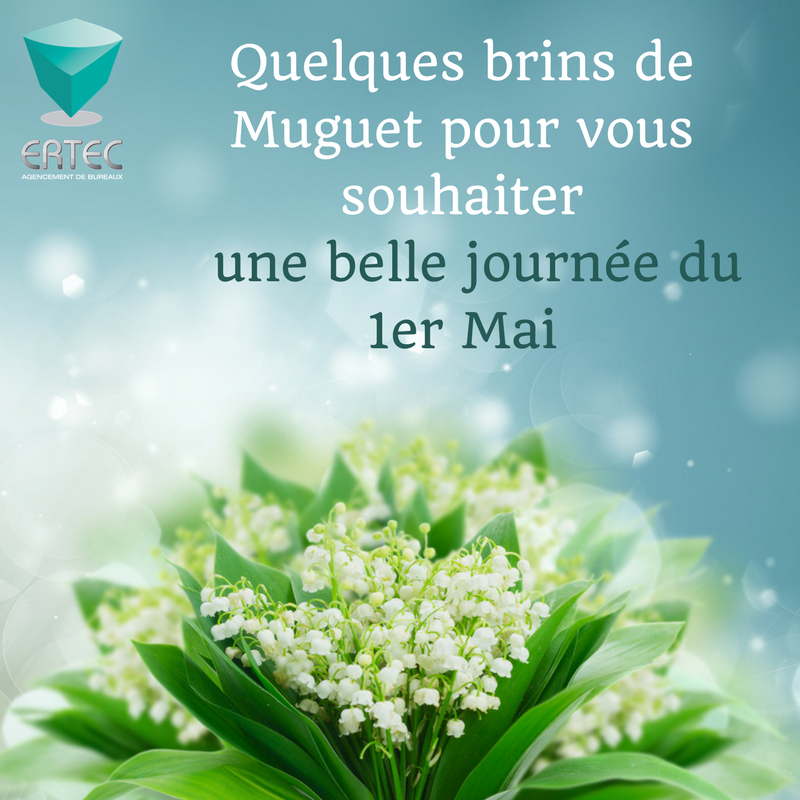 ERTEC95's tweet image. 1er Mai... Fête du travail... Pour l'occasion quelques brins de Muguet pour tous 🤗 #Muguet #1mai