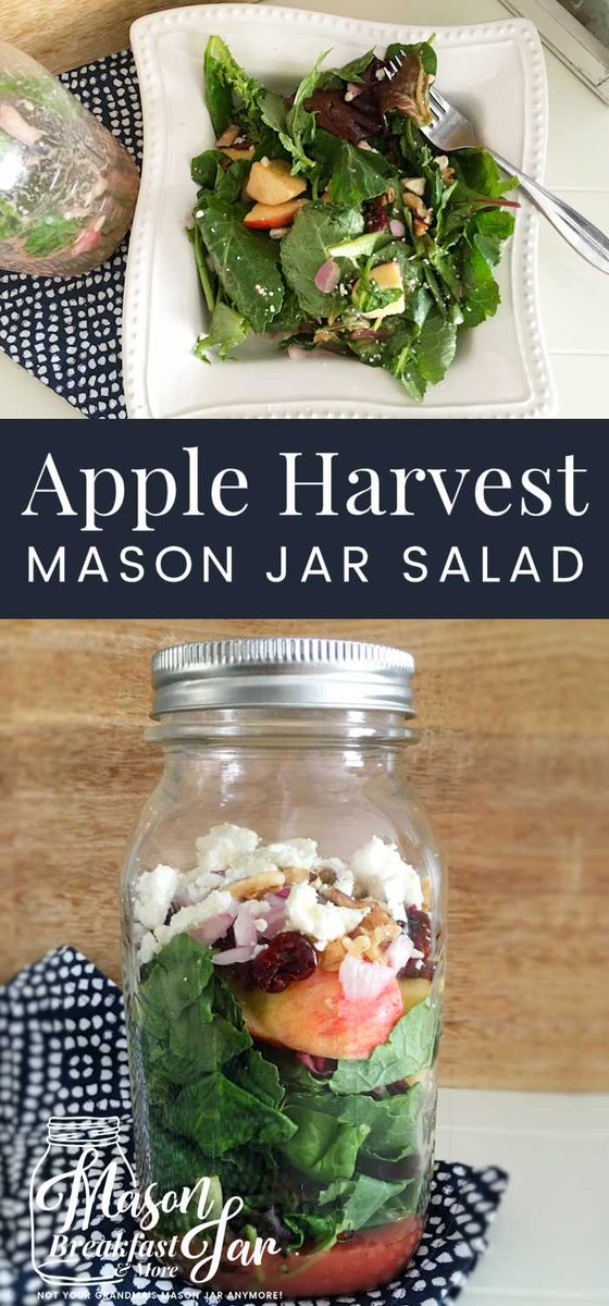 MasonJarIdea's tweet photo. Apple Harvest Salad Recipe https://t.co/Y87ghKLkah #masonjar #masonjarsalad #salad #masonjarrecipe https://t.co/gBGSNtZ0KX