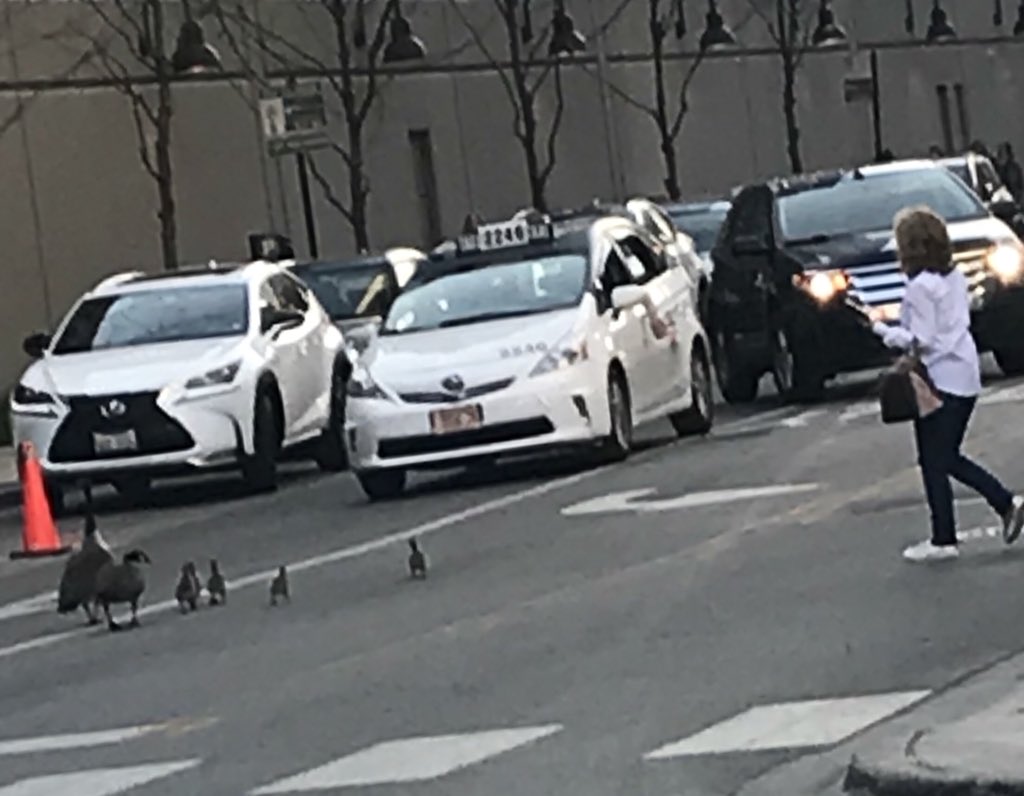 Rob Stafford tweet media