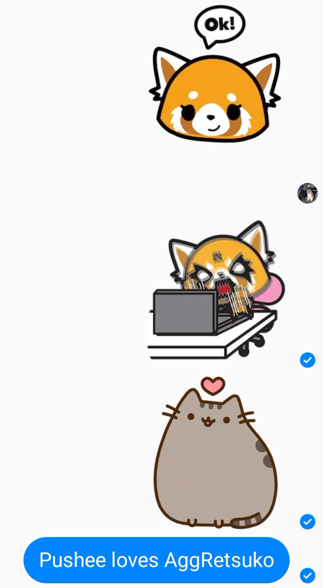 kristianmeller's tweet photo. #pushee loves #AggRetsuko https://t.co/wKEontOADj