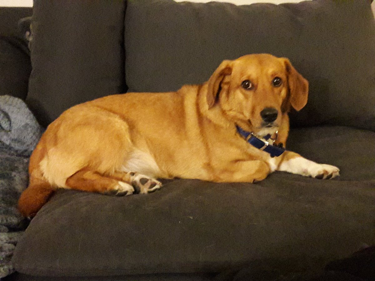 MagnumAGB's tweet image. #GoRuby #WeWinWeRiot @RubyRiottWWE