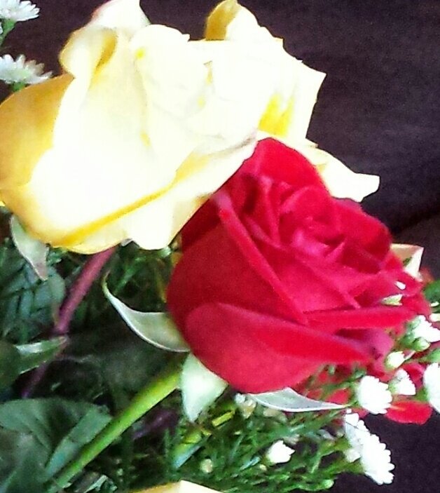 SheShe0430's tweet photo. **:)** ThaaankU again! **:)**
MeantMUCH!!!
@stormy_420 @JuliaGrantham2 @ALScott31673233 @LadyBeverly01 @DoriCreates https://t.co/vXqkFqZ6NA