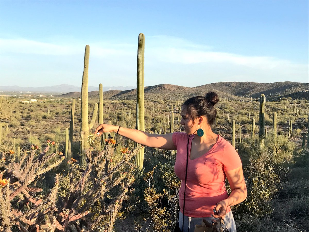 Collected & learned about desert foods this weekend on O’odham lands 💕#thedesertprovides 🌵#Indigenousfoods