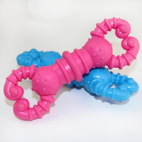 ShopDogsandcats's tweet photo. Keep your puppies busy &amp; prevent them from destructive chewing with our amazing dental teeth cleaning toys.  Shop them today at https://t.co/2fWWxkRMJN  The product will be delivered at your doorstep within 15 working days. #PuppiesToy #ChewToys  #PetsAreFamily #PetLover https://t.co/dDUAhfpW4s