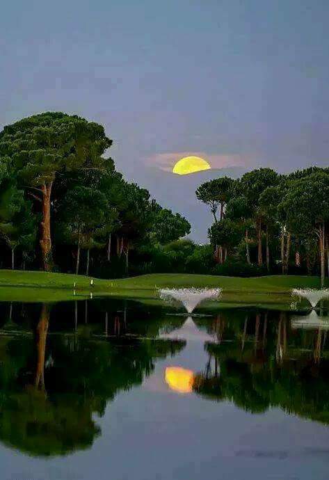 Good morning my friends may your day be bless