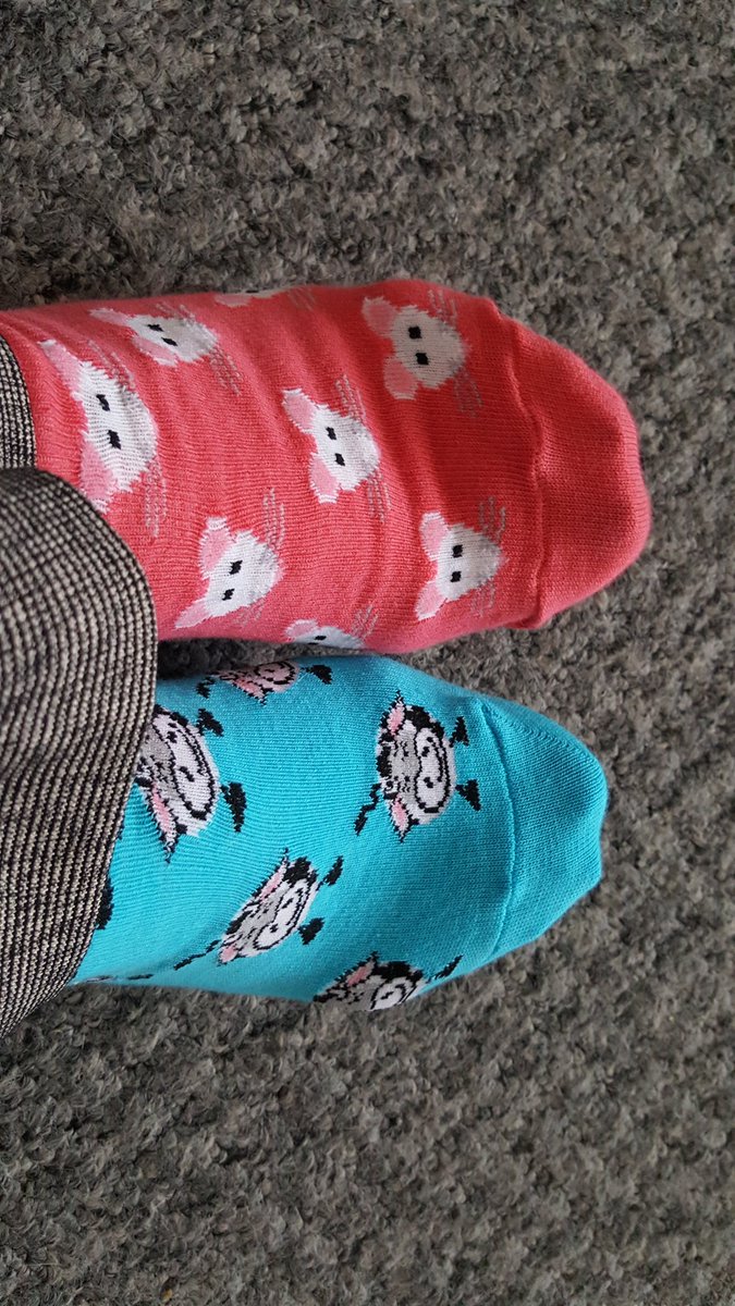 WerburghsWirral's tweet photo. Mrs Murphy has her odd socks ready for #spiderede https://t.co/Cs4dJWBPWw