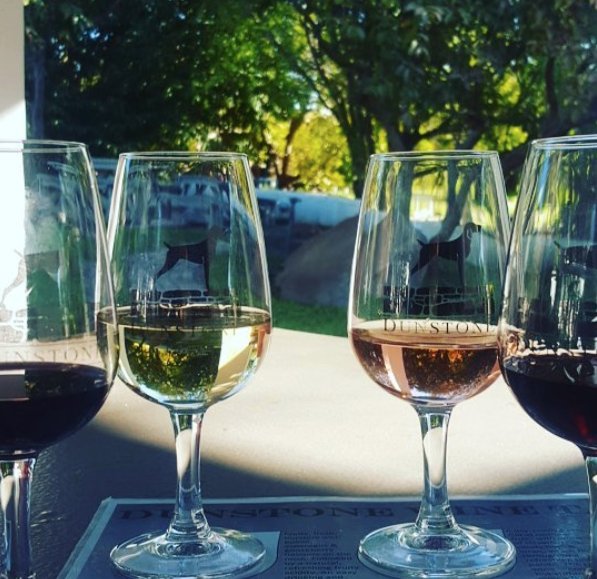 Dunstone_Estate's tweet photo. Competing in the Wellington Safari Marathon today?
Make sure to come visit us afterwards for a promo especially for you.
Buy 5 bottles of #DunstoneWine and get 1 bottle free! π·
#DunstoneCollection #TheStoneKitchen #heartWellington #Dunstone #SafariHalfMarathon #Wellington https://t.co/x7nLN0JJHx