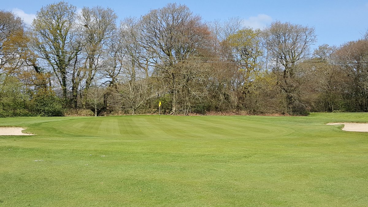 Honiton Golf Club tweet media