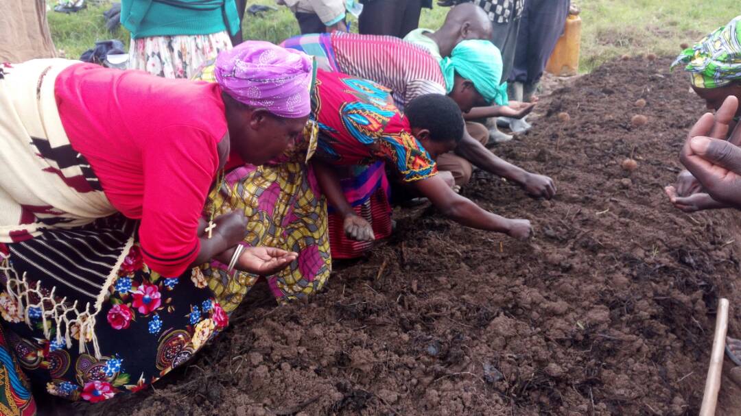 Rwanda_SMAP's tweet photo. Mr. Ange Rovert who is in charge of RAB-SMAP activity @RwandaAgriBoard conducted FFS-1 in @BureraDistrict, 25th April. According to the result of market survey by farmers, cabbage, carrot, sweet pepper, french bean, amaranth, egg plant and onion were sown at demonstration farm. https://t.co/RY3EjnqDMO