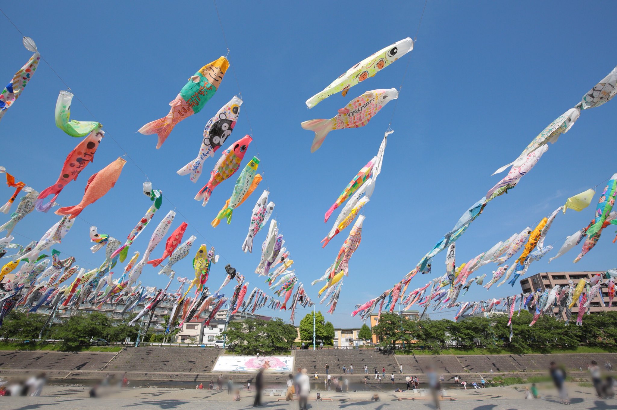 阪急電鉄 公式 屋根よ り た か い こいの ぼ り 高槻市の芥川に 毎年約1000匹の鯉のぼりが泳ぐ こいのぼりフェスタ1000 がスゴイ イベントが4月29日に開催されたあとも 鯉のぼり は5月5日まで掛けられているそうです 第27回