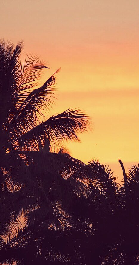 RasheedHRasheed's tweet photo. Hello May Please Be Awesome, Dear @Twitter here are #freewallpapers for your Phone 
Photographer 📸 @RasheedHRasheed 🇹🇿 #MayDay #tanzania https://t.co/RSRqYAkUsY