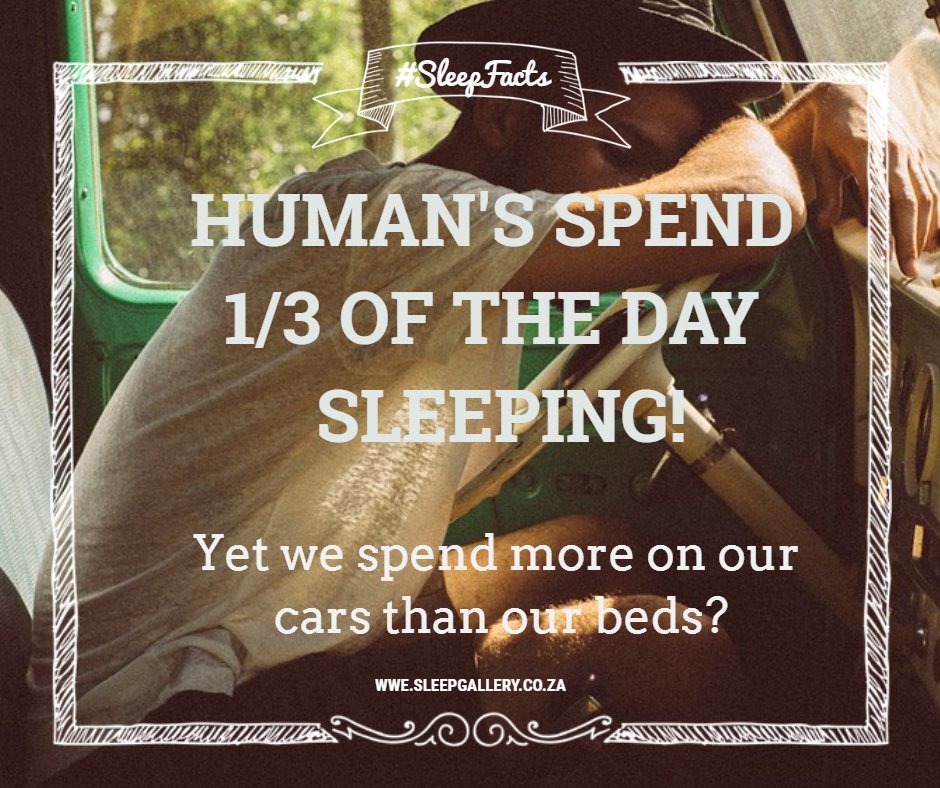 Sleepgallery tweet picture