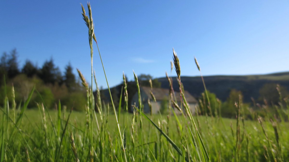"As I hold on to this prayer and to the vision of a world at peace, help me to remember that peace begins with me." #prayer Read more: sanctuaryfirst.org.uk/daily-worship/…