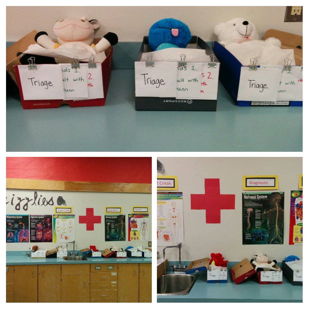 Dunnie98's tweet image. Hospital built. Patients are I&apos;ll.  Now, where are my interns?  #bodysystem #inquiryfun #bcedchat