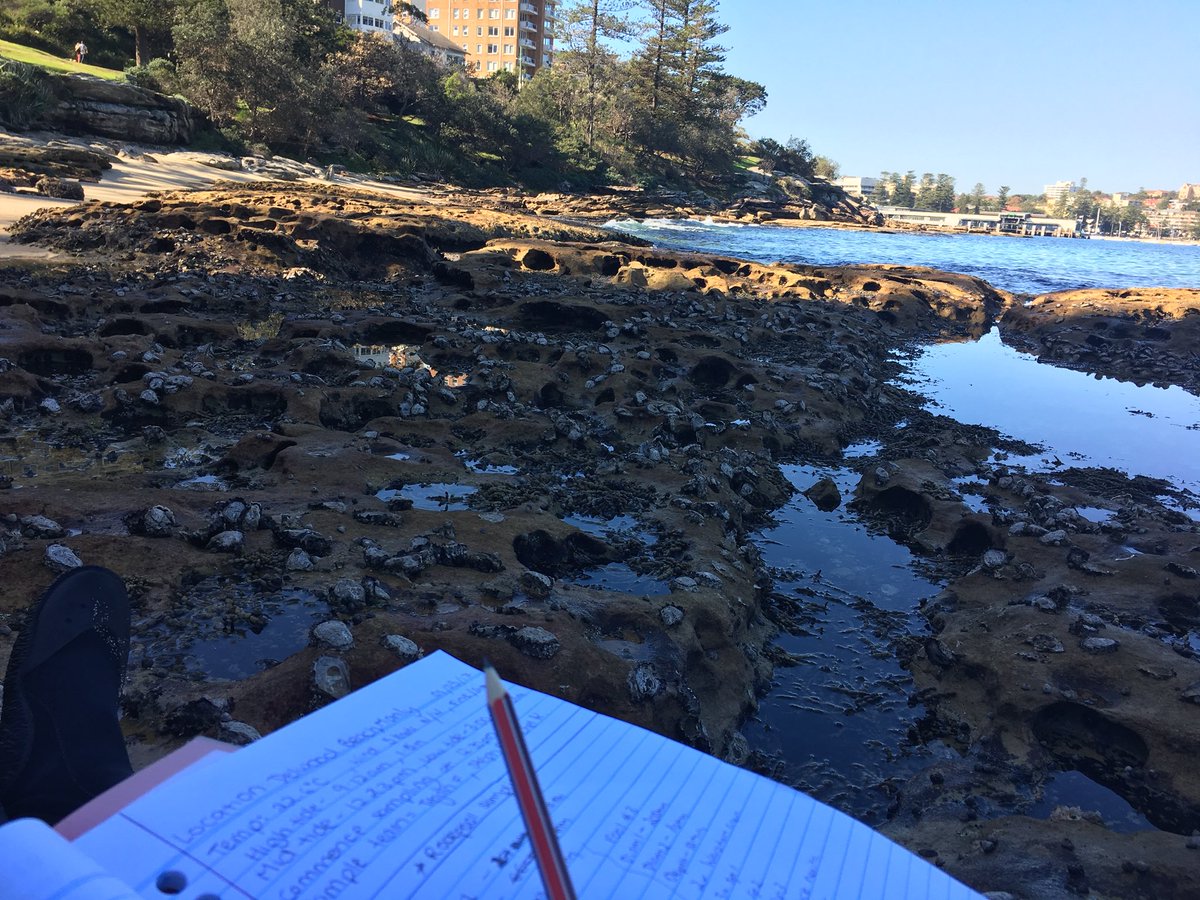 reefined_chaos's tweet photo. Bit of intertidal studies for my #Tuesday #rockpools #fishmylife @MQBiology #biol703 @skywolf787 @Teganation https://t.co/zLJVjtBKKB