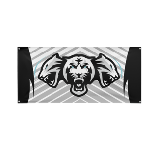 TeamNGYN's tweet photo. Rep Team NGYN,  Check Out Our Exclusive Team Flag!
Get Your Now! 
https://t.co/KvTHdtvzki
#NgynLife #Ngyn #NgynLyfe #TeamNgyn https://t.co/wIYD2FyQek