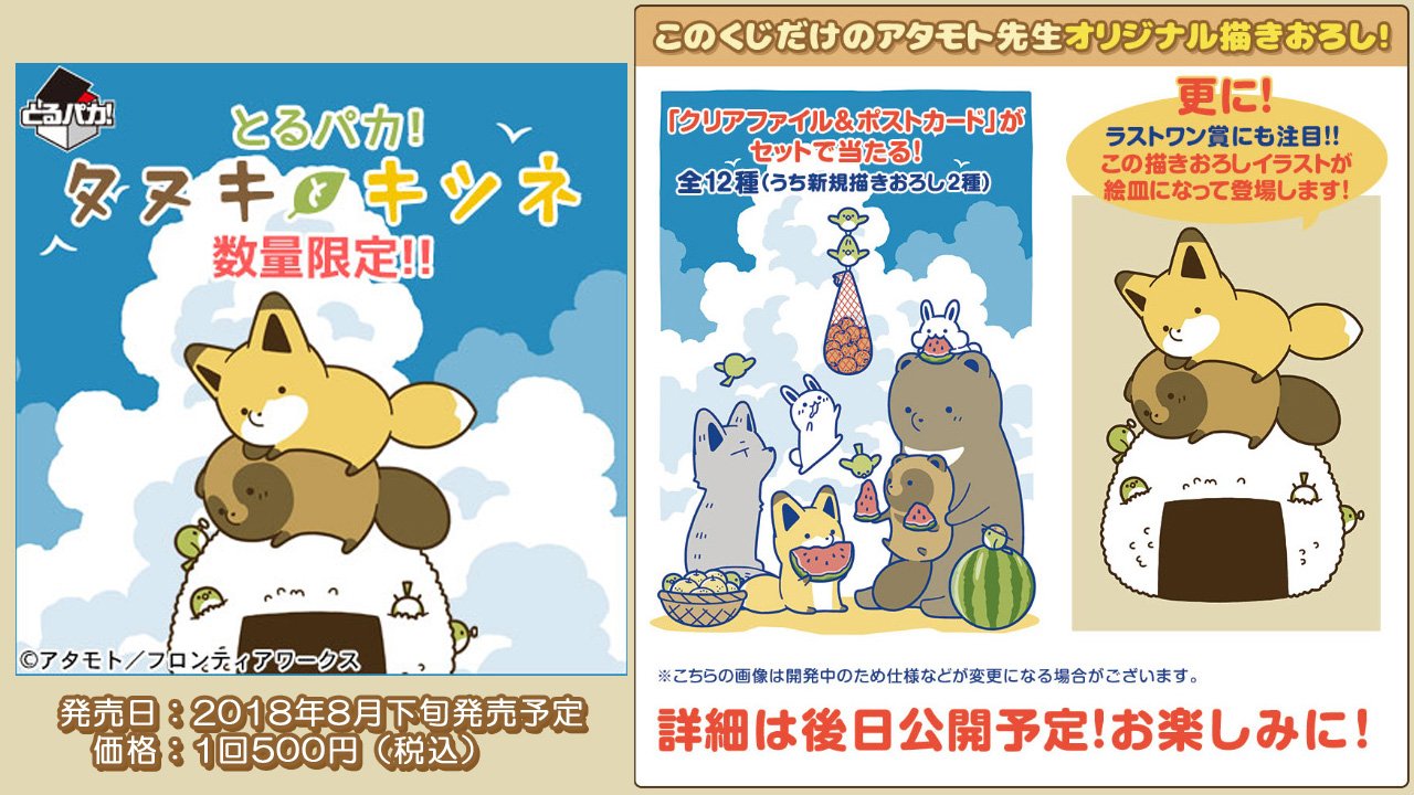 タヌキとキツネ　とるパカ！　クリアファイル　コンプ　全種 タヌキとキツネ とるパカ！ クリアファイル コンプ 全種
