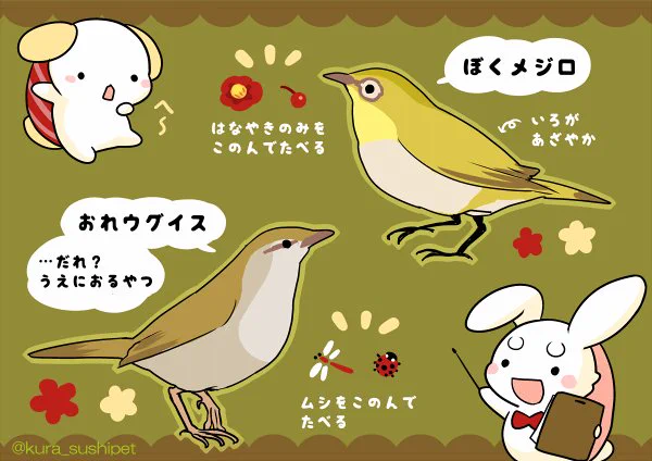 しゃりうさ「君が好きな色は?というアンケートの結果は…『うぐいす色』派が1位だね。…ウグイスってどんな色してると思う?」
しゃりわんこ「そりゃうぐいす色でしょ。…あ、あれ?案外地味だなあ…」
しゃりうさ「うん。色鮮やかなのは、むしろメジロのほうかも。どっちも雑食だけど好みが違うよ」 