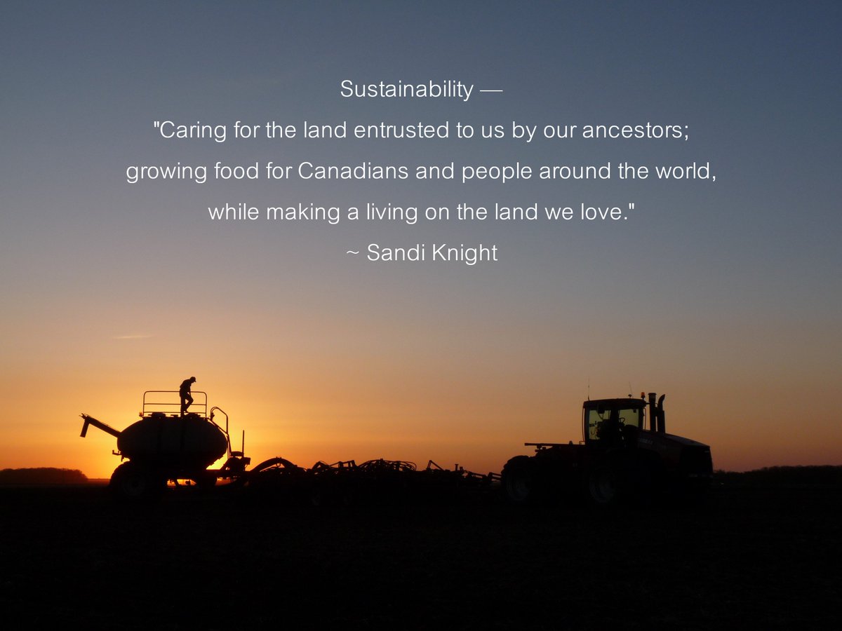 Sandi Knight tweet media