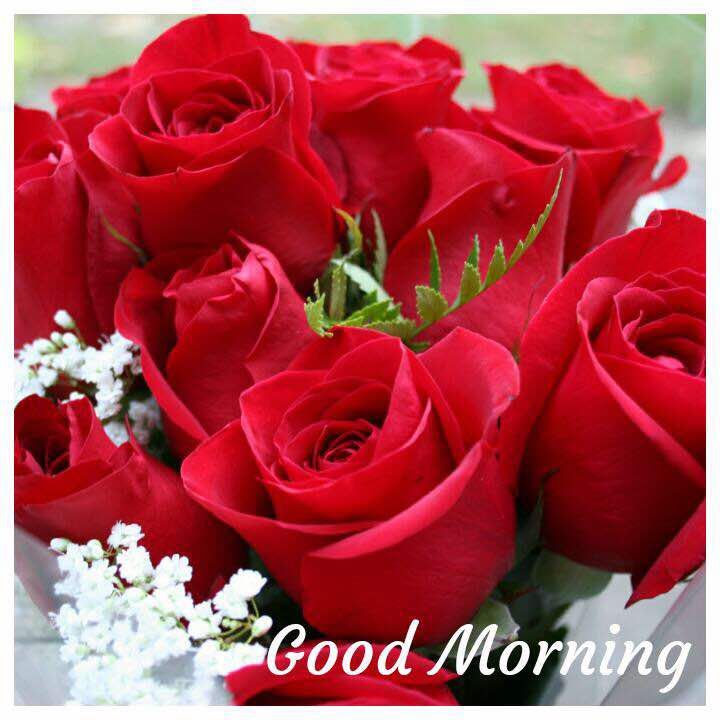 SamratSamrt tweet picture