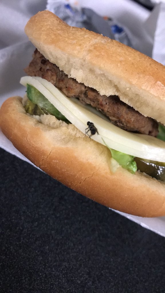 lcdallastex's tweet photo. @GordonRamsay what do you think about my daughters high school lunch today? #YesThisIsReal #BurgersWithASideOfFliesPlease https://t.co/XBQ0HKSufe
