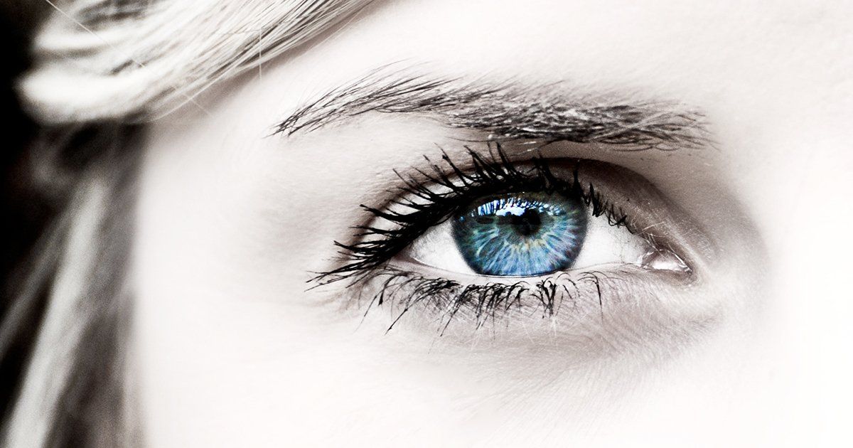 TheCollective Search tweet media