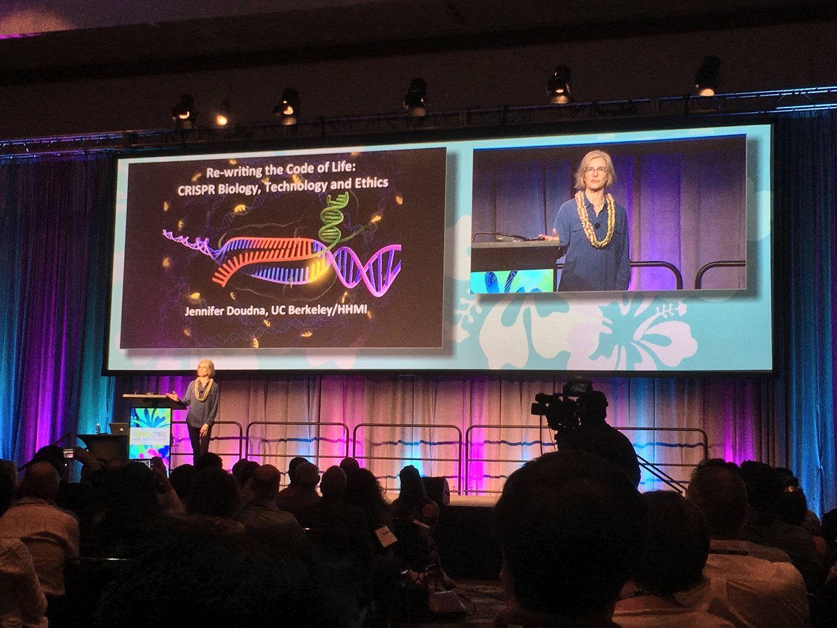 surgeonretina's tweet image. Pioneer Dr Jennifer Doudna recounts history of #CRISPR. This year @ARVOiovs meeting is in Honolulu. Did you know Doudna grew up in Hilo, Hawaii and is a “Hawaii public schools” alum? The 👁 is one of first places #CRISPR will be applied: CEP290 #retina disease. #ARVO2018