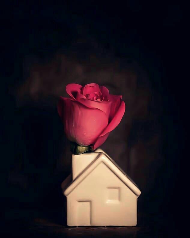 ❊ ❉ ✲ ✩ ✫
  🇾🇪                 ❊ ❉ ✲ ✩ ✫ ✬ 
(-_-) سَلْأَمَ لْلْذيُن#يُسَيُرُﯙنِ فيُ طْرُق
لْمَ #يُتَمَنِﯙهُأَ قُأَنِعُيُنِ#رُأَضِيُنِ بَمَأَ
قُدُ #ﮖتَبَ لْهُمَ عُزْأَئهُمَ #أَلْﯙحَيُد دُﯙمَاً
ﯙعُسَى أنِ تَﮖرُهُﯙأ شْيُئً ﯙهوخِيُرُ لْﮖم
🇾🇪
❊ ❉ ✲ ✩ ✫ 🥀