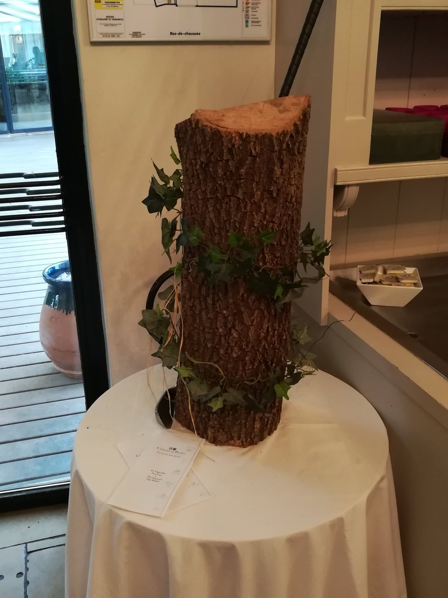 lucjuggery's tweet image. This morning, breakfast at the hotel. Was reading a comparison about #logstash and #fluentd and saw this guy on my way out, is that a sign? 🤔