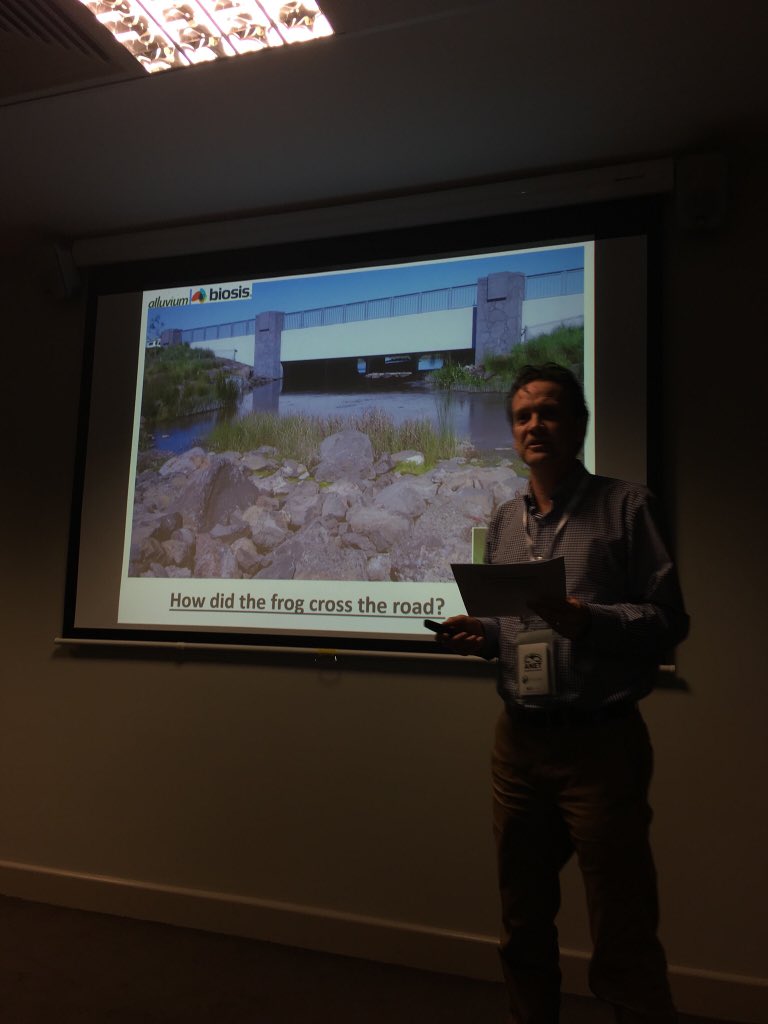 AnimexInt's tweet photo. How did the frog cross the road? @ecoltransnet @EIANZorg @Alluvium_AU @BiosisAU #anet2018 #reducingroadkill #roadecology https://t.co/WIjJApO2HI