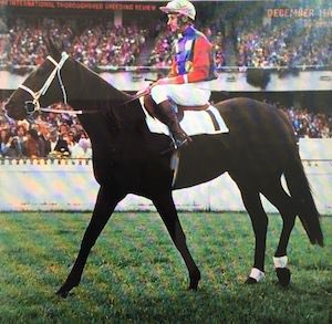 WestburyStud's tweet image. Here’s an interesting piece of breeding history involving polo ponies, stakes winners &amp;amp; recent @SAJockeyClub winner Peaceful State #BattleHeights #WutheringHeights #breeding #pedigrees #history... westburystud.com/news.cfm?conte…