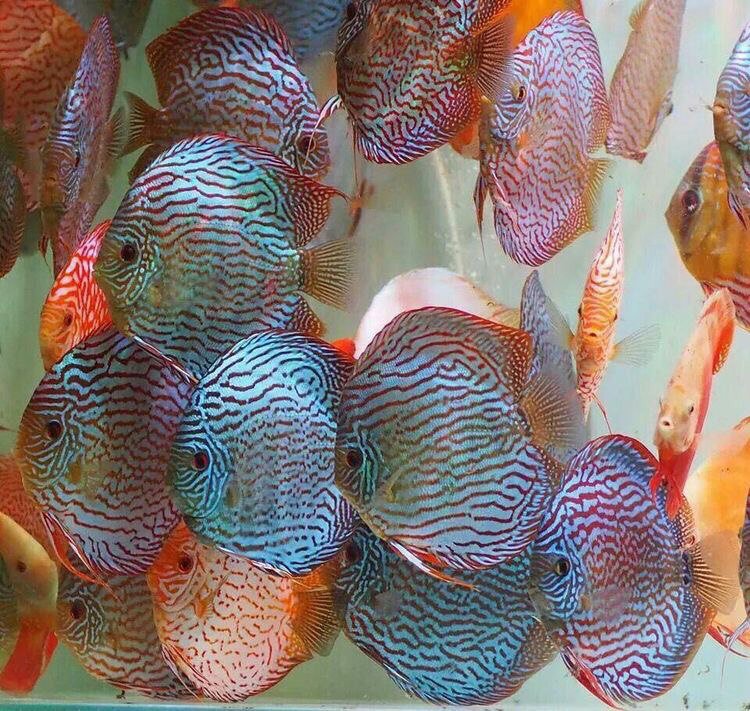 Awesome underwater world.