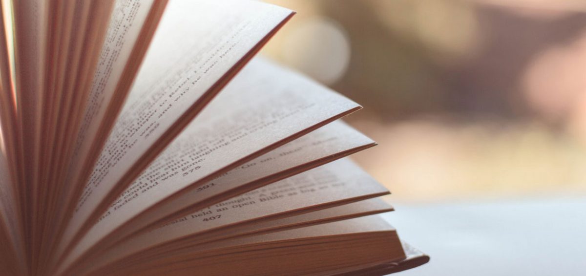 Kate McMillan Anchev tweet media