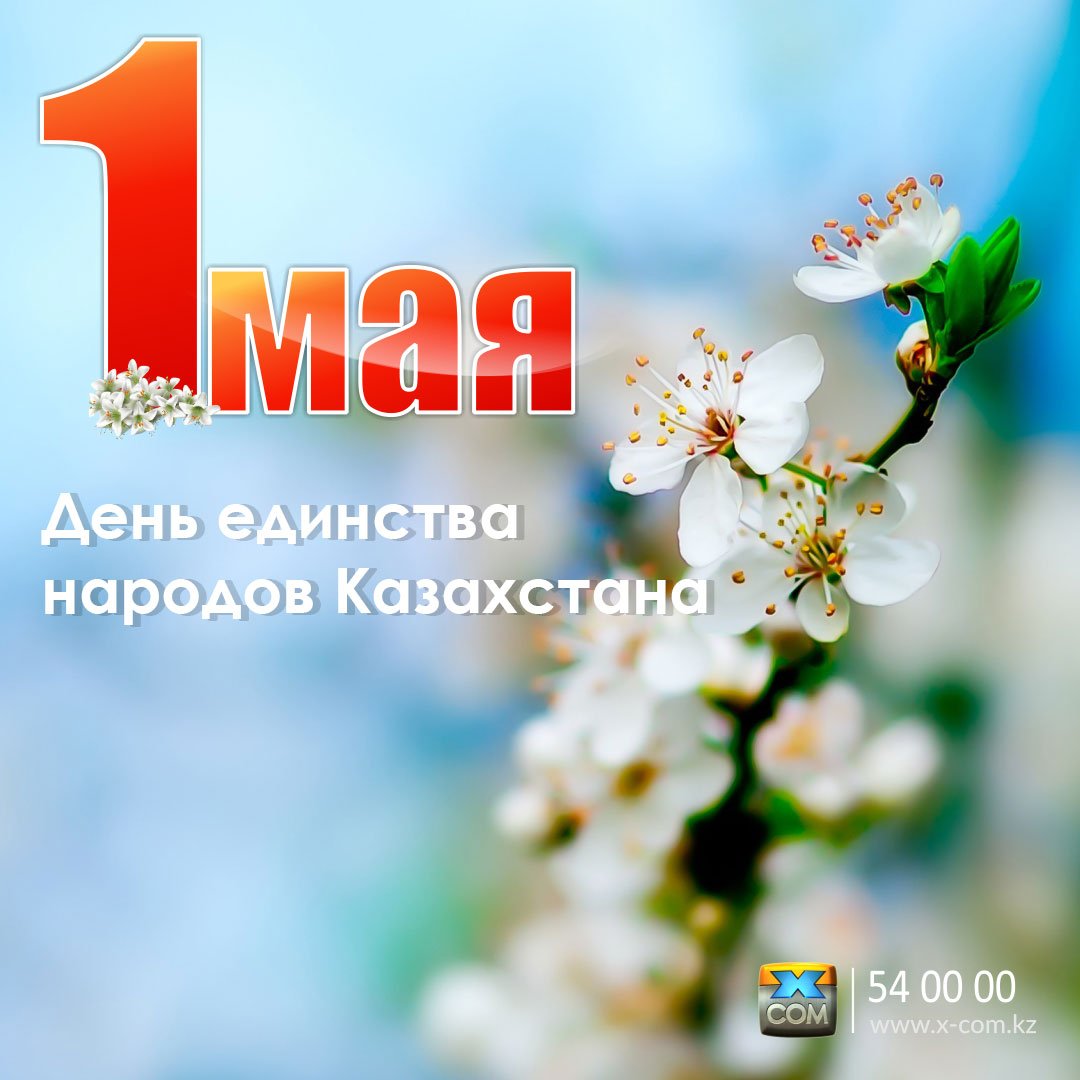 Картинки мопс, 1 мая открытки казахстан