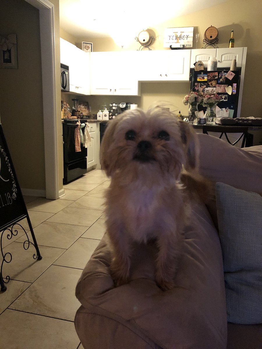 My Brodie (Little Levi)