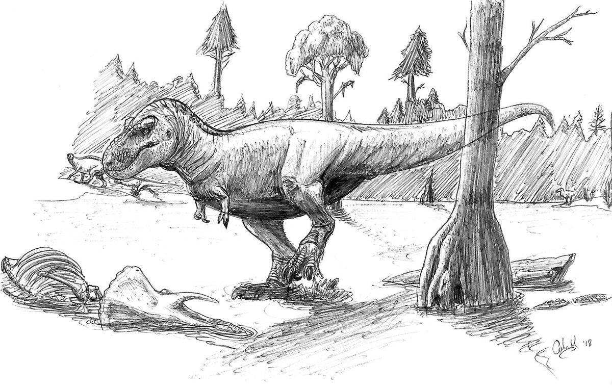 Sketchbook of a Wannabe Paleoartist  Dinosaur illustration, Dinosaur  sketch, Dinosaur art