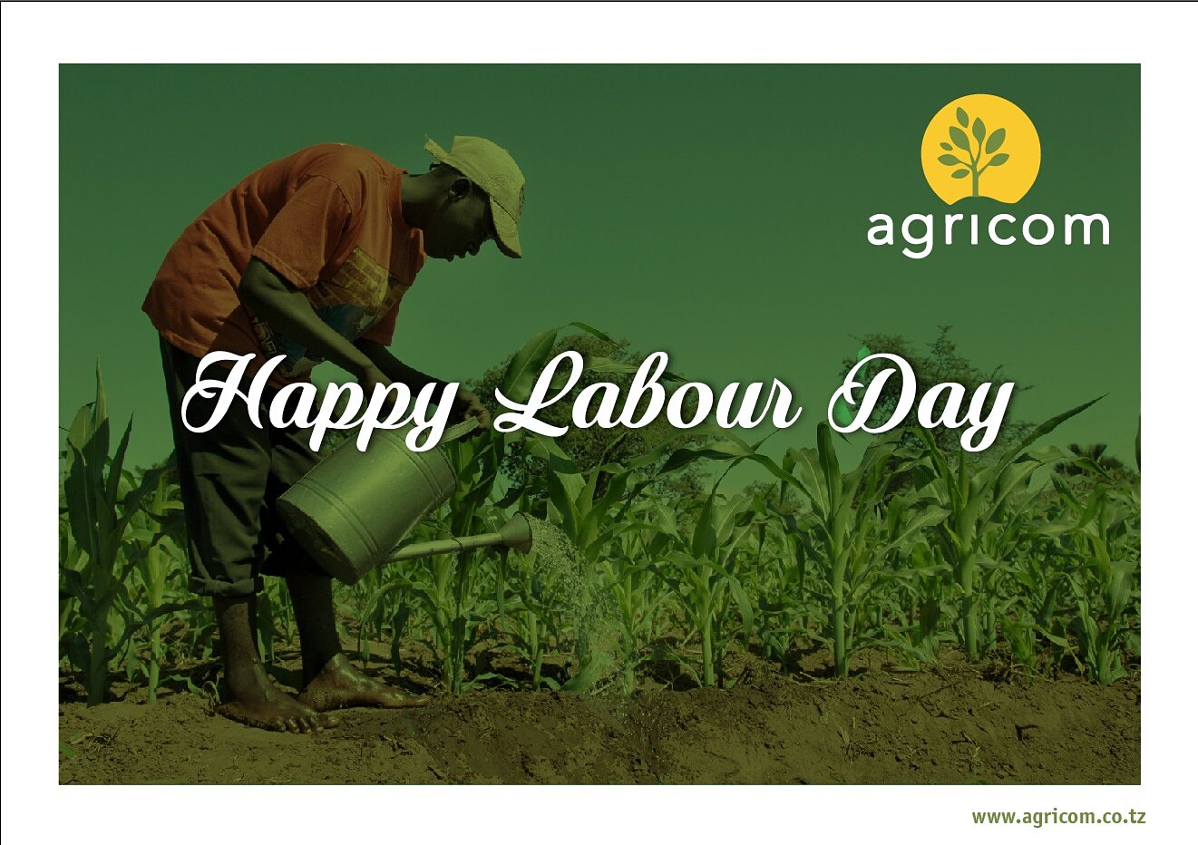 Agricom Africa on Twitter: