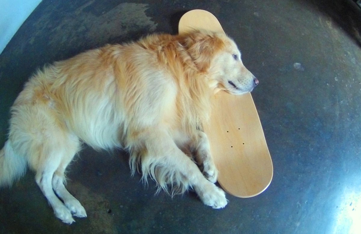 Yasser calderón (@calderonyasser) on Twitter photo 