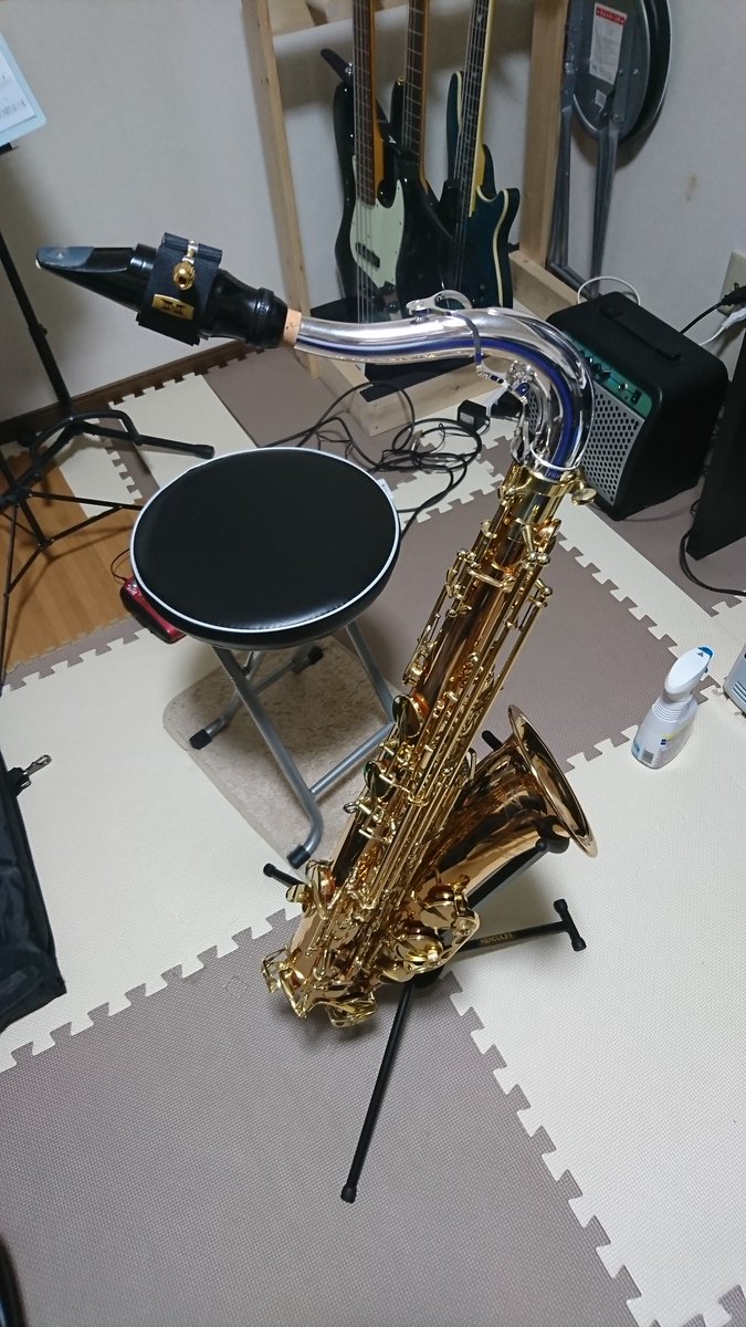 hiroya_forest's tweet photo. 三毛猫になりました。🐱
#テナーサックス #tenorsax #saxophone #yanagisawa #TW02 https://t.co/W9hRCoDMmm