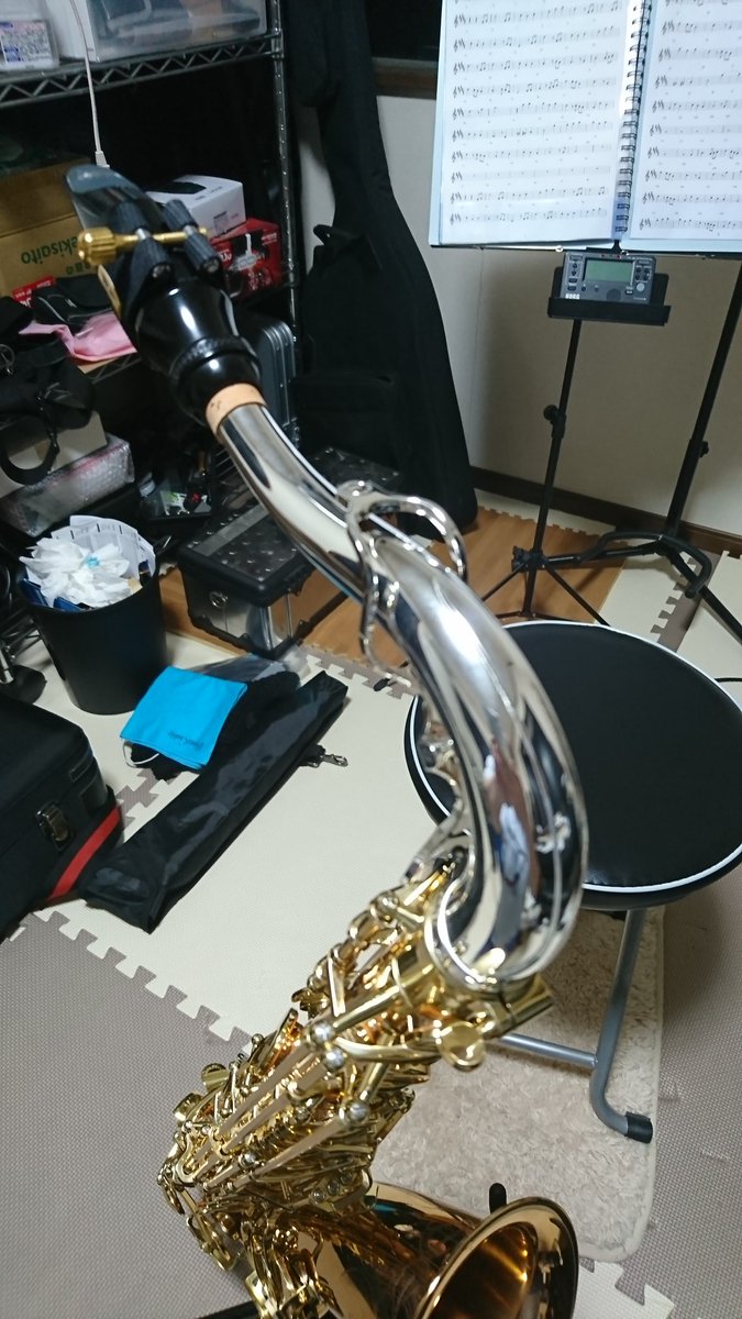hiroya_forest's tweet photo. 三毛猫になりました。🐱
#テナーサックス #tenorsax #saxophone #yanagisawa #TW02 https://t.co/W9hRCoDMmm