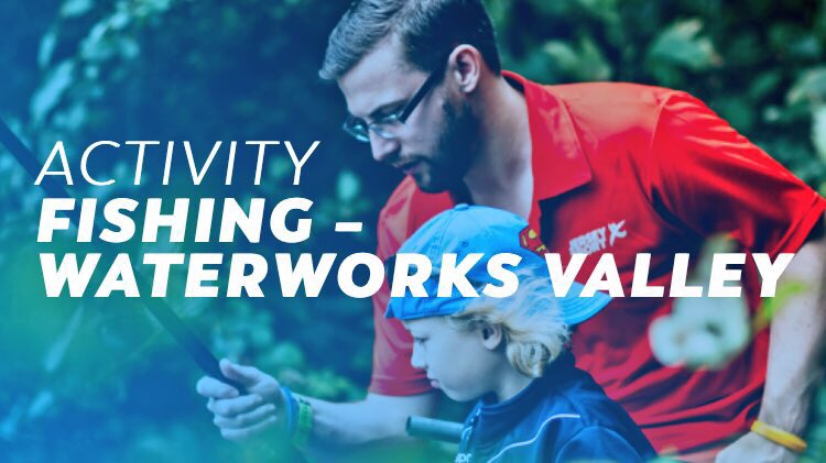 download comparative approaches to program planning