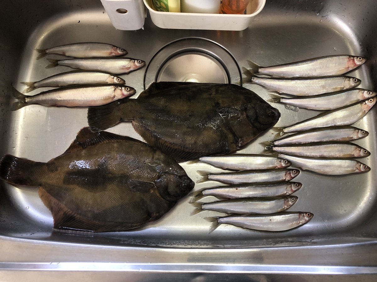 チカ釣り チカ釣り
