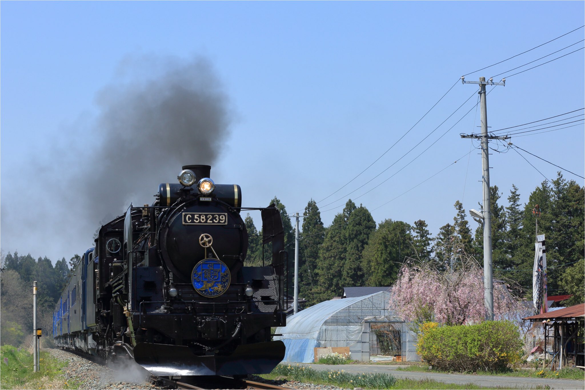 余裕の裕ちゃん 4月最終週の釜石線sl銀河 沿線の桜は満開を過ぎて風に舞ってしまい おまけに煙にも見放された週末でした T Co Wmzchikhlh Twitter