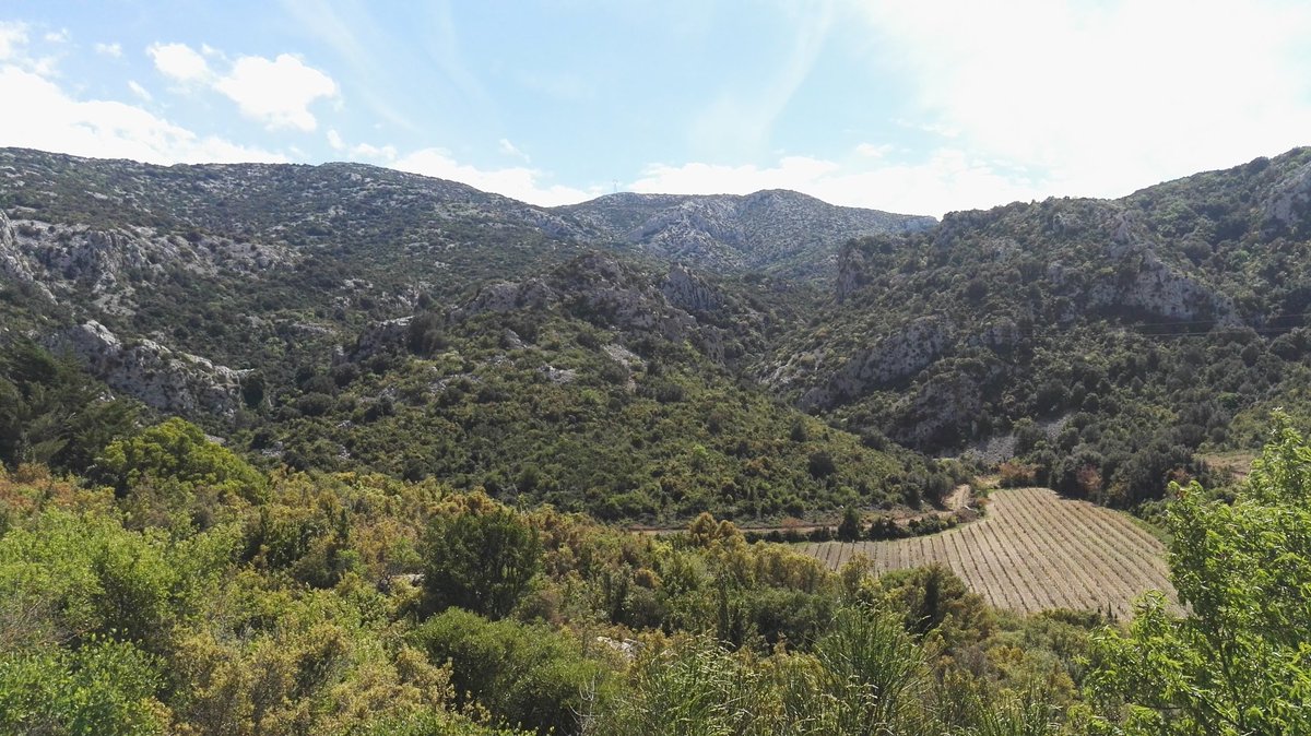 RafolsdelsCaus's tweet photo. La màgia del #calcari. Paisatges de #vinya que ens resulten inspiradors i familiars alhora #comacasa #Corbières
La magia de la #caliza. Paisajes de #viña que nos resultan inspiradores y familiares al mismo tiempo #comoencasa #Corbières https://t.co/M4CLdPE0Mf